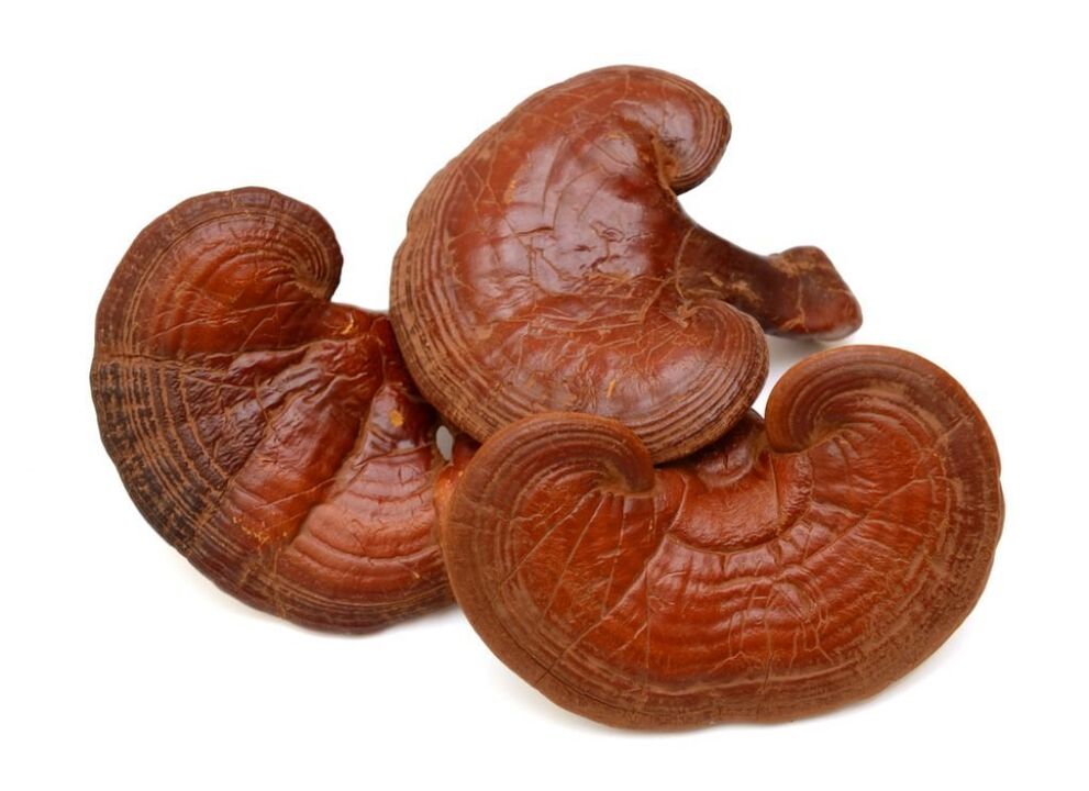 Reishi mushrooms in Prostamin capsules
